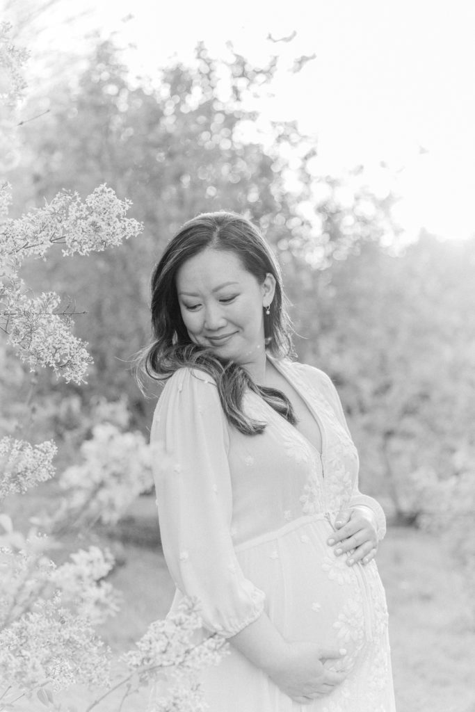 Black and white photo of expecting mom posing for maternity photos with Corinne Isabelle Photography at the Arnold Arboretum with lilac blooms