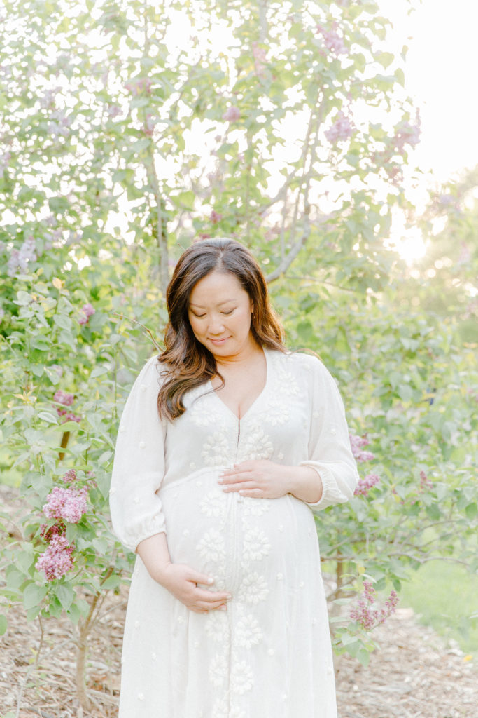 Expecting mom posing for maternity photos with Boston Maternity Photographer Corinne Isabelle Photography at the Arnold Arboretum with lilac blooms