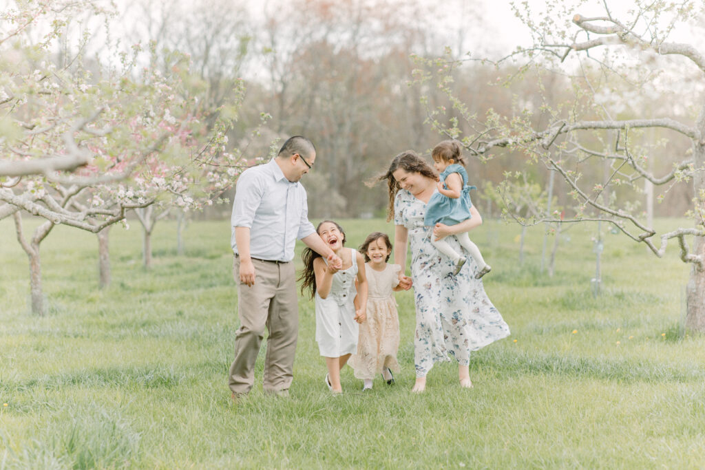 Young family holding hands and walking through apple blossom field during boston area family photography session.